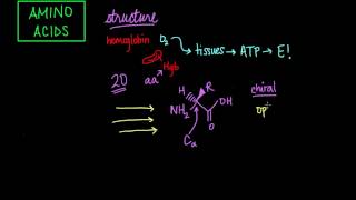 Amino Acid Structure
