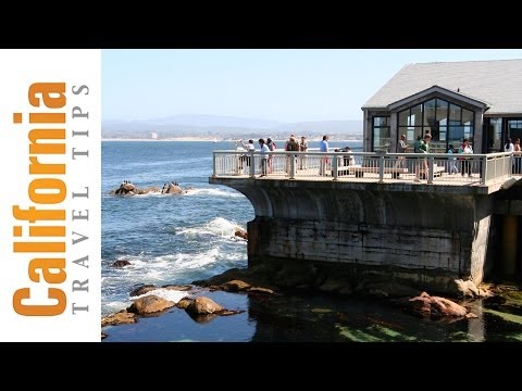 Vídeo: Guia do Visitante do Aquário da Baía de Monterey