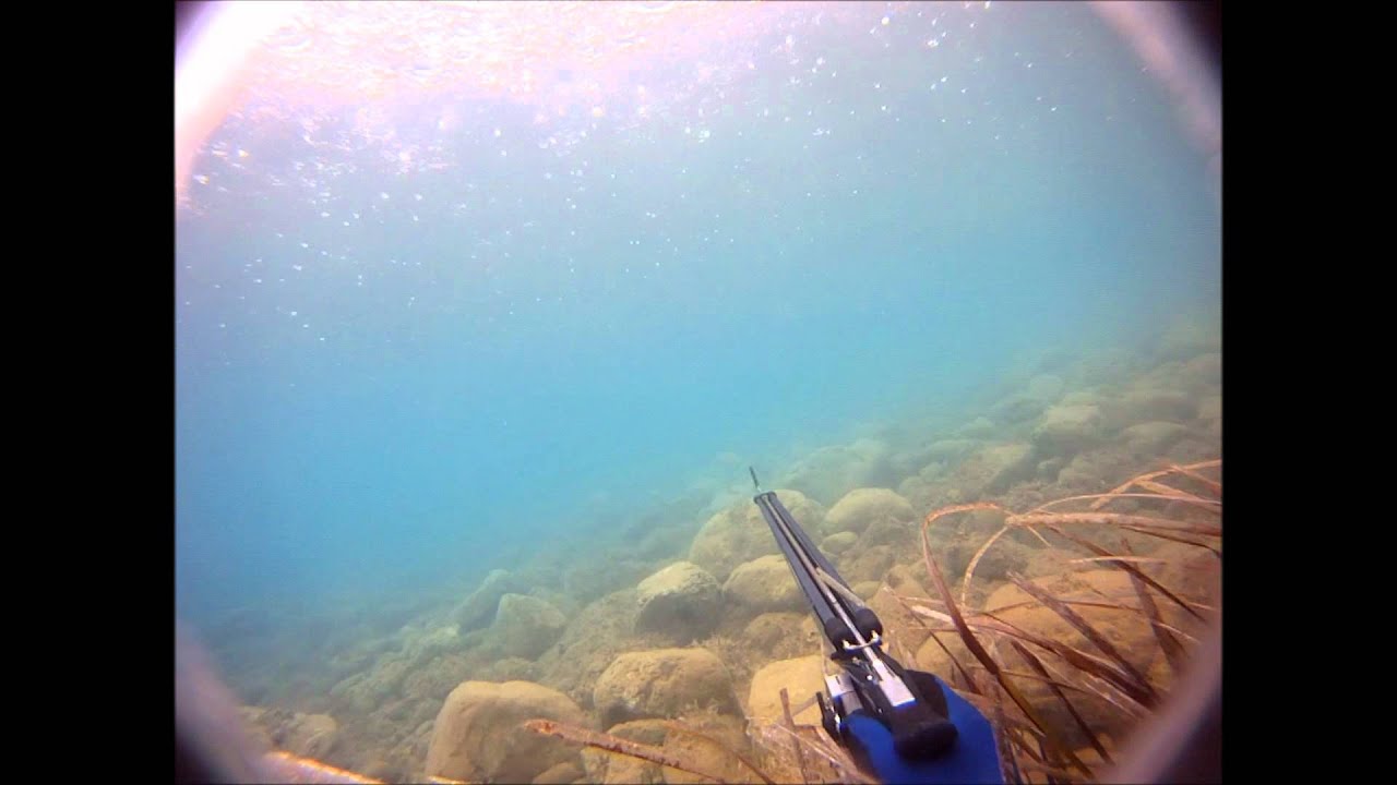Spearfishing Greek Pathos 82 Seabass YouTube