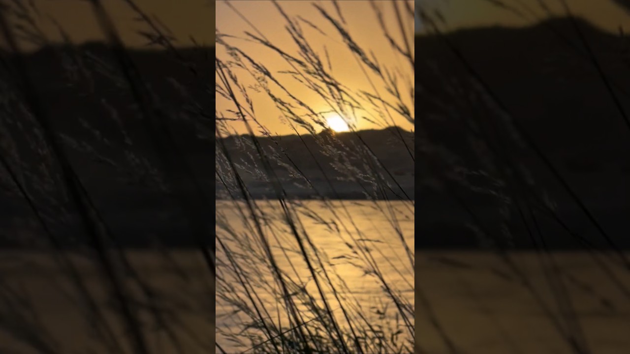 Fishing & Camping: 3 Days on the Ili River. 3 дня на реке Или. 