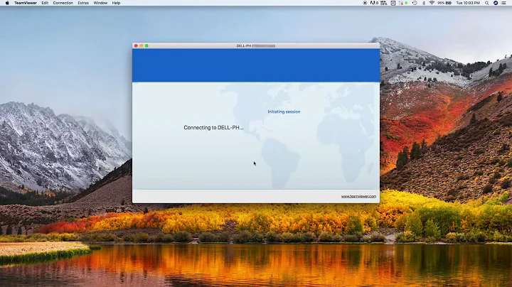 TeamViewer | Disable "Lock Remote Computer" on Mac