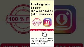 indownloader com instagram story saver screenshot 3