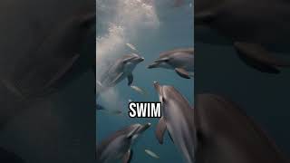 Dive into teamwork magic! #DolphinWisdom #OceanHarmony