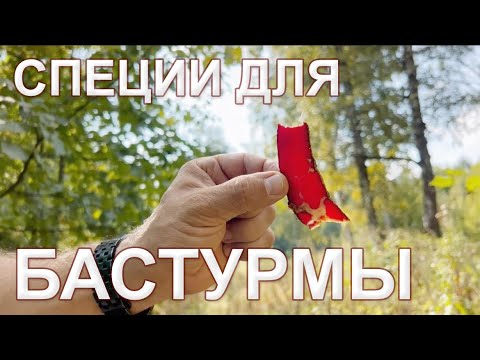 БАСТУРМА. Чем новая смесь специй отличается от большинства похожих.