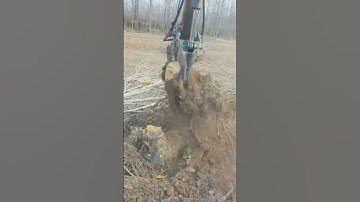 Excavator Removing Tree Roots 🌳🚜💨 | Extreme Power | Ep 50