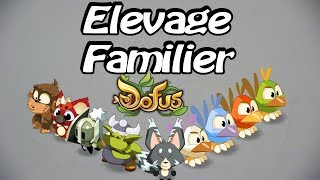 Let's Play Dofus - Elevage de Familier - Episode 1 - Les kamas se font la mâle...