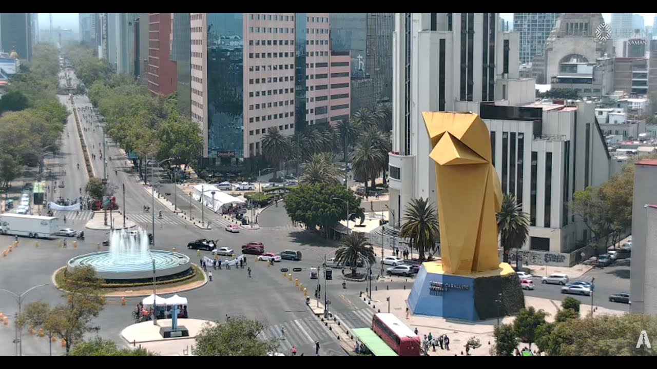 #Reforma | Hoy es domingo de andar en bici en reforma #envivo
