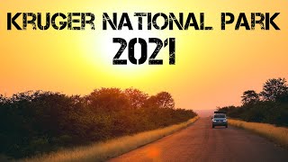 Kruger National Park 2021 (Trailer)