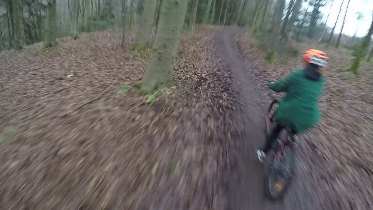 Mountain Biking Hamsterly Forest