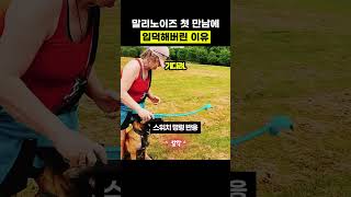 첫 만남에 입덕하는 이유 #shorts