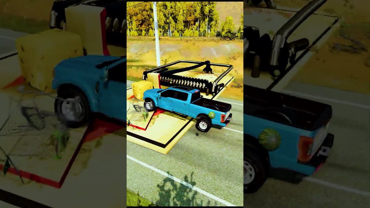 ПОЛИЦИЯ ПЕРЕКРЫЛА ДОРОГУ  