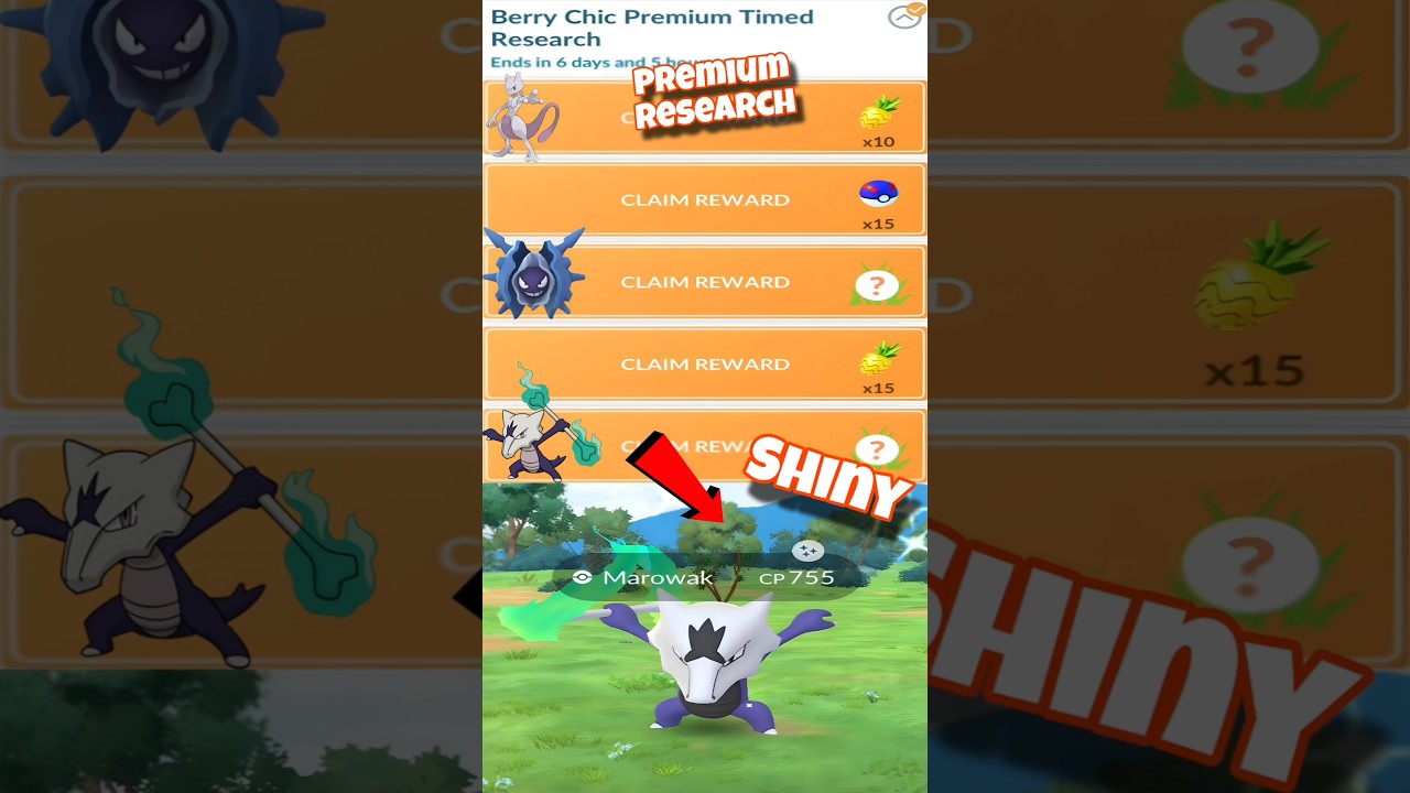 Premium Shiny Encounter! Berry Chic premium time research 