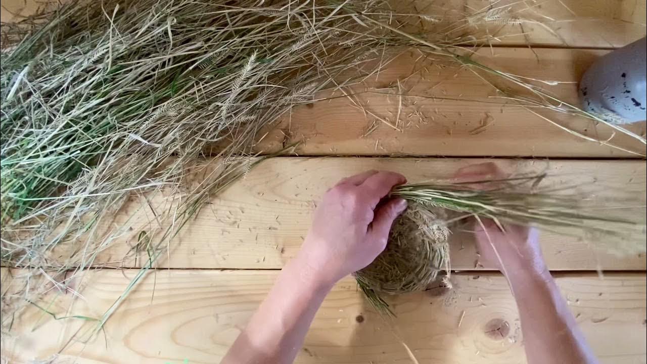 Making a Grass Basket YouTube