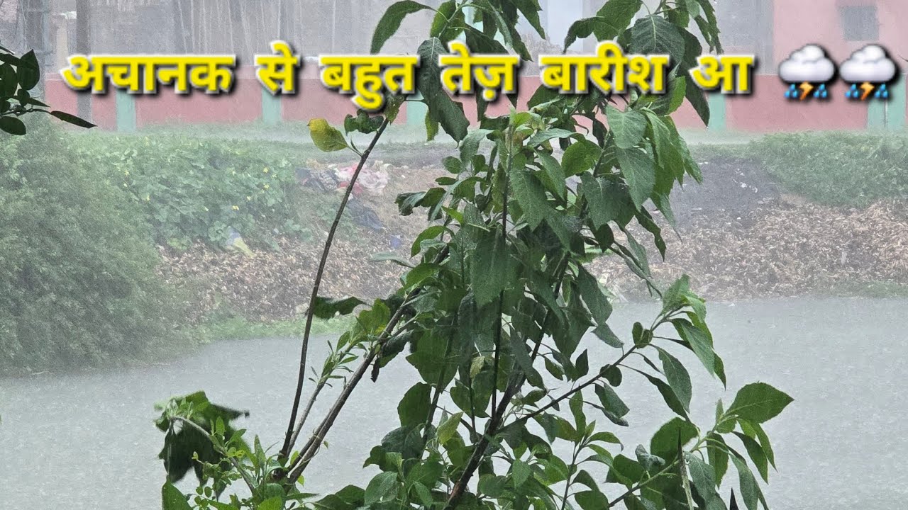 अब एक ही सब्जी खा खा  कर मन उब गया | बारिश ने  मौसम ठंडा कर दिया ⛈️☃️