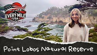I Found the Most Stunning Cliffs in California at Point Lobos