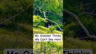 Mr. Gobbler Thinks We Can’t See Him! #outdoors #turkey #turkeyhunting #nature #wildlife #gobbler
