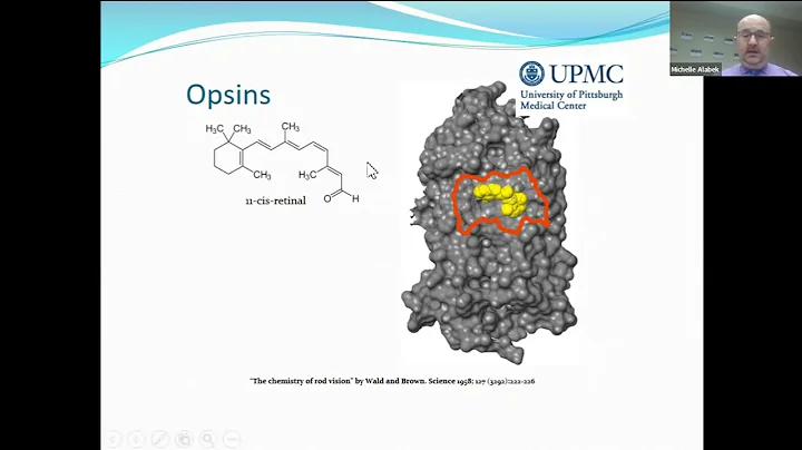 Sight + Sound Bites:  Retinal Dystrophies: Introduction, Therapies, and Ongoing Research