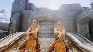 Skyrim Challenge: Whiterun Guard