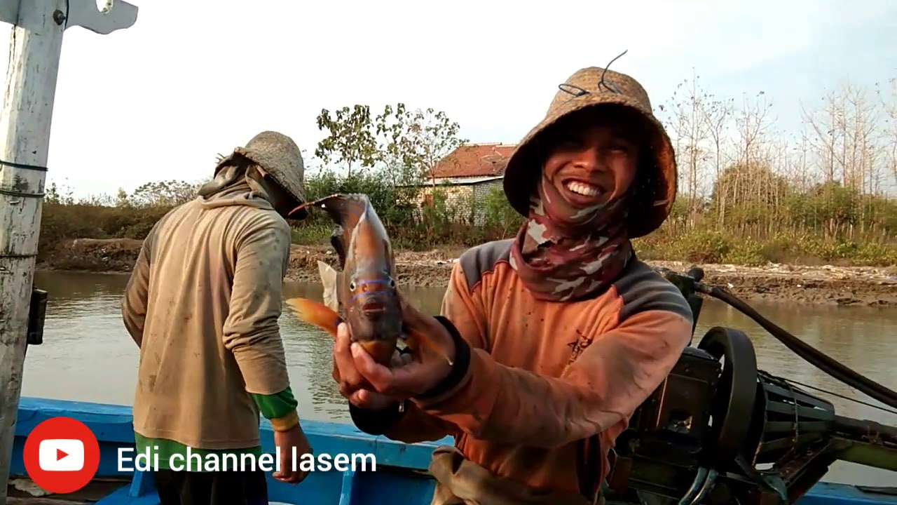 "NELAYAN MUDA LASEM"