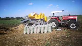 Amazing Multi-Purpose Sheller in Action | Soybean Harvesting Simplified!