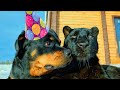 Venya is 10 years old, celebrating with Luna the panther and company😁🥳(ENG SUB)