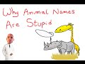 Why Animal Names Are Stupid