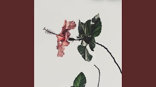 Isn't Easy to Let You Go