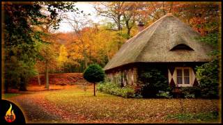 Instrumental Folk Music | Shades of Orange | Emotional Guitar Music