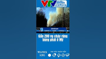 Gần 200 vụ cháy rừng bùng phát ở Mỹ | VTVWDB