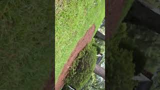 IMG 1971 IMG 1971