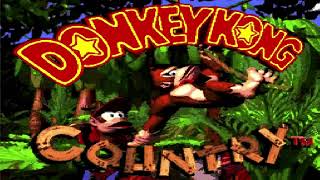 Floral Fury - Donkey Kong Country Soundfont