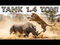 🚨 TANK BIOLOGIS 1.4 TON! Harimau Siberia vs Badak Hitam Afrika (Bentrokan 0 Detik)