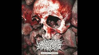 VoidBornHatred - Negativity Dweller - [EP]