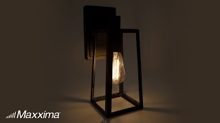 Maxxima LED Outdoor Wall Light, ST19 Edison Bulb 800 Lumens Clear Glass, 2700K Warm White screenshot 2