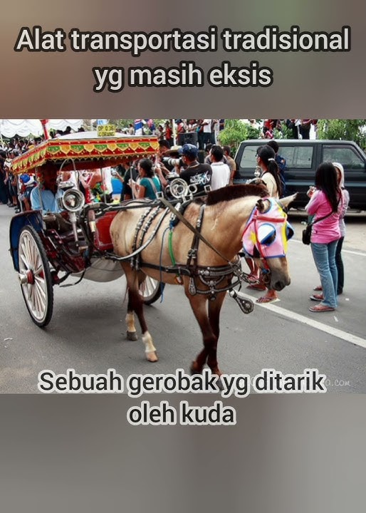Alat transportasi tradisional jadul yg masih eksis || Dokar atau Delman