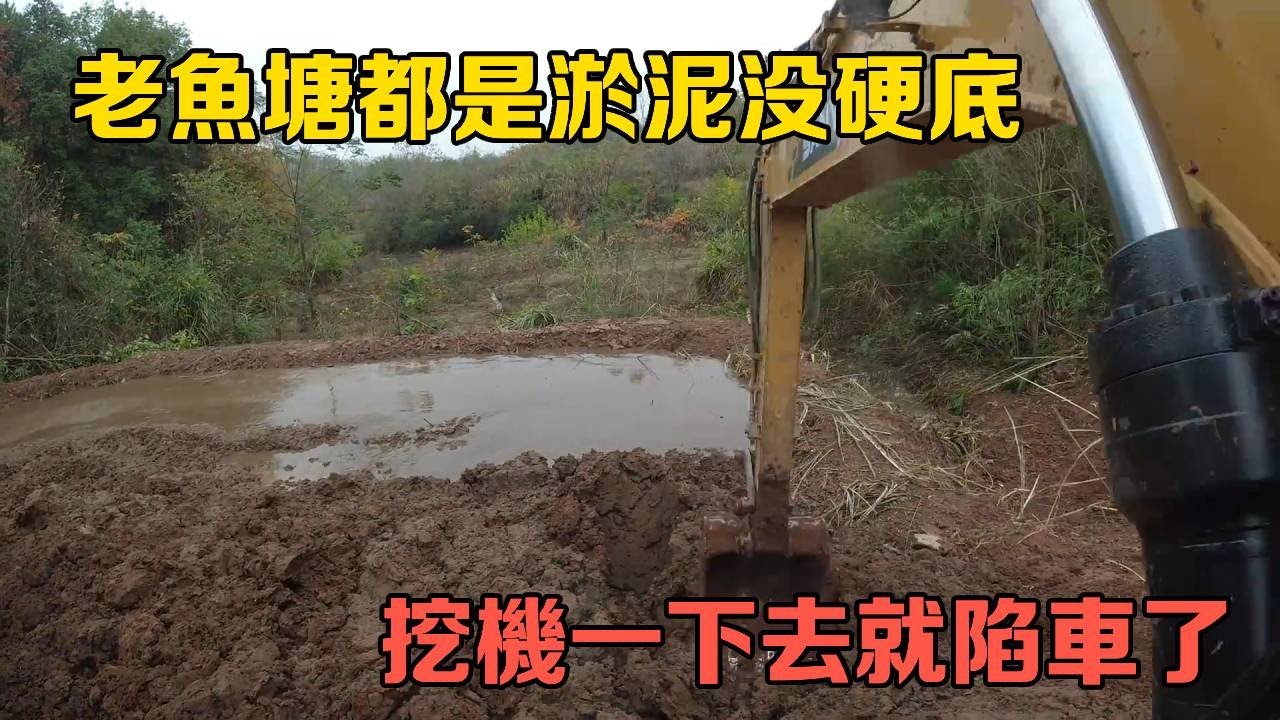 老魚塘竟然沒有硬底，貿然開挖機下去，結果就是陷車了【棒棒哥帶你開挖機】