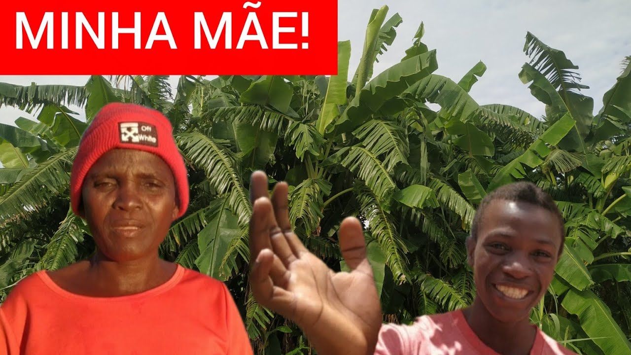 A HISTÓRIA DA MINHA MÃE