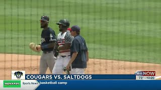 Kane County Cougars vs. Saltdogs