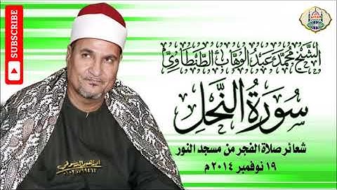 ٢٨ - الشيخ محمد عبد الوهاب الطنطاوي | سورة النحل |  شعائر صلاة الفجر من مسجد النور | جودة عالية HD