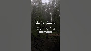 ماهر المعيقلي - سورة البقرة ( برواية حفص عن عاصم ) الأية 280 - 281