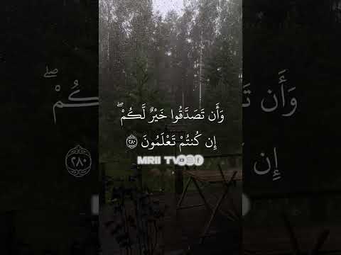 ماهر المعيقلي سورة البقرة برواية حفص عن عاصم الأية 280 281 