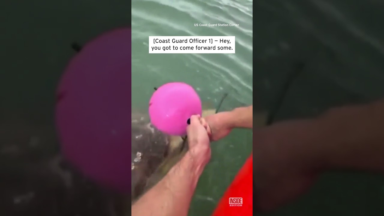 Choking Sea Turtle Saved By Coast Guard #shorts