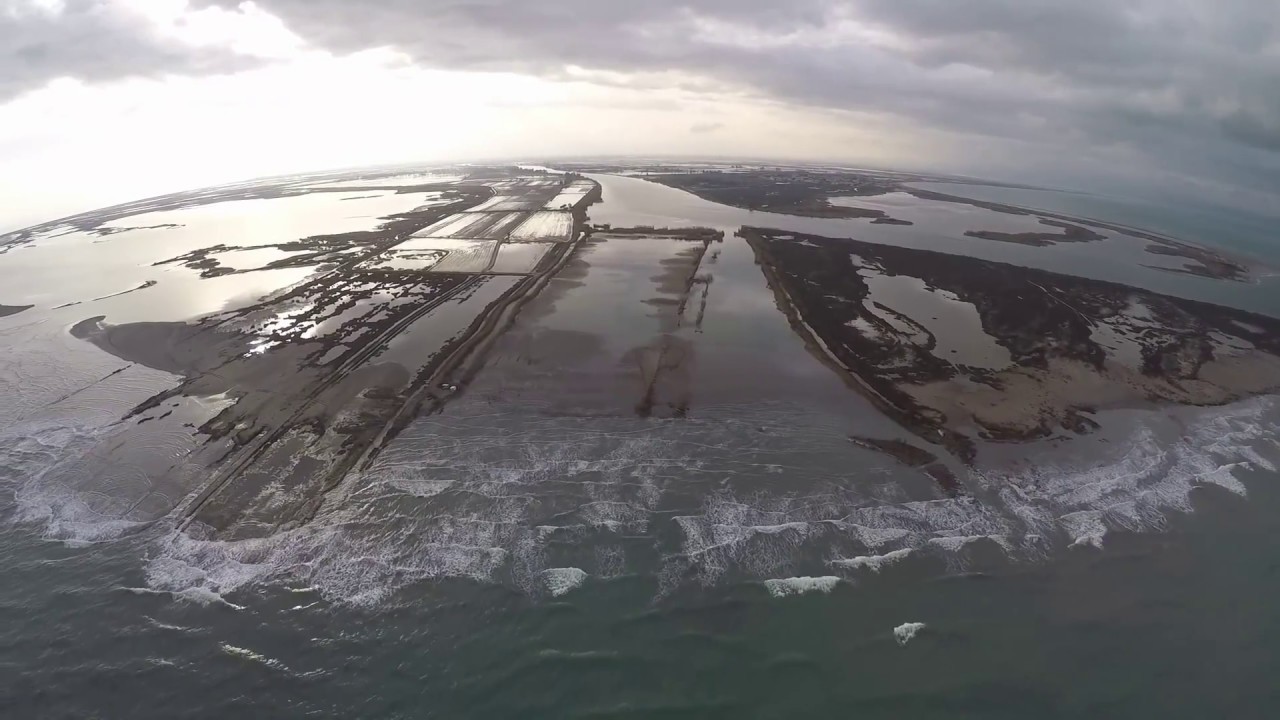 Salvemos la Isla de Buda.