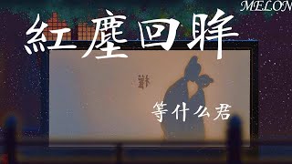 紅塵回眸-等什麽君『有幾番紅塵回眸，只願與卿長留』【動態歌詞MV】