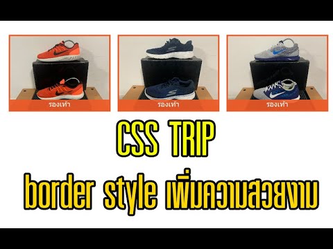 CSS TRIP EP1  การกำหนด border style เพิ่มความสวยงามให้เว็บไซต์ | CSS WEB