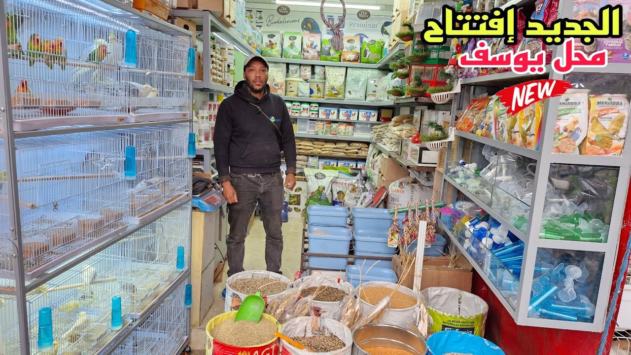 إفتتاح محل يوسف🔥أجيو نتعرفو على أتمنة الأكل أنواع الباطي أقفاص أعشاش لوازم ومكملات الطيور فرجة ممتعة