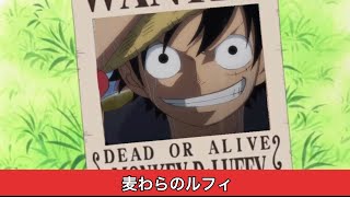 サンジの手配書がとうとう似顔絵ですらなくなった世界線 Youtube