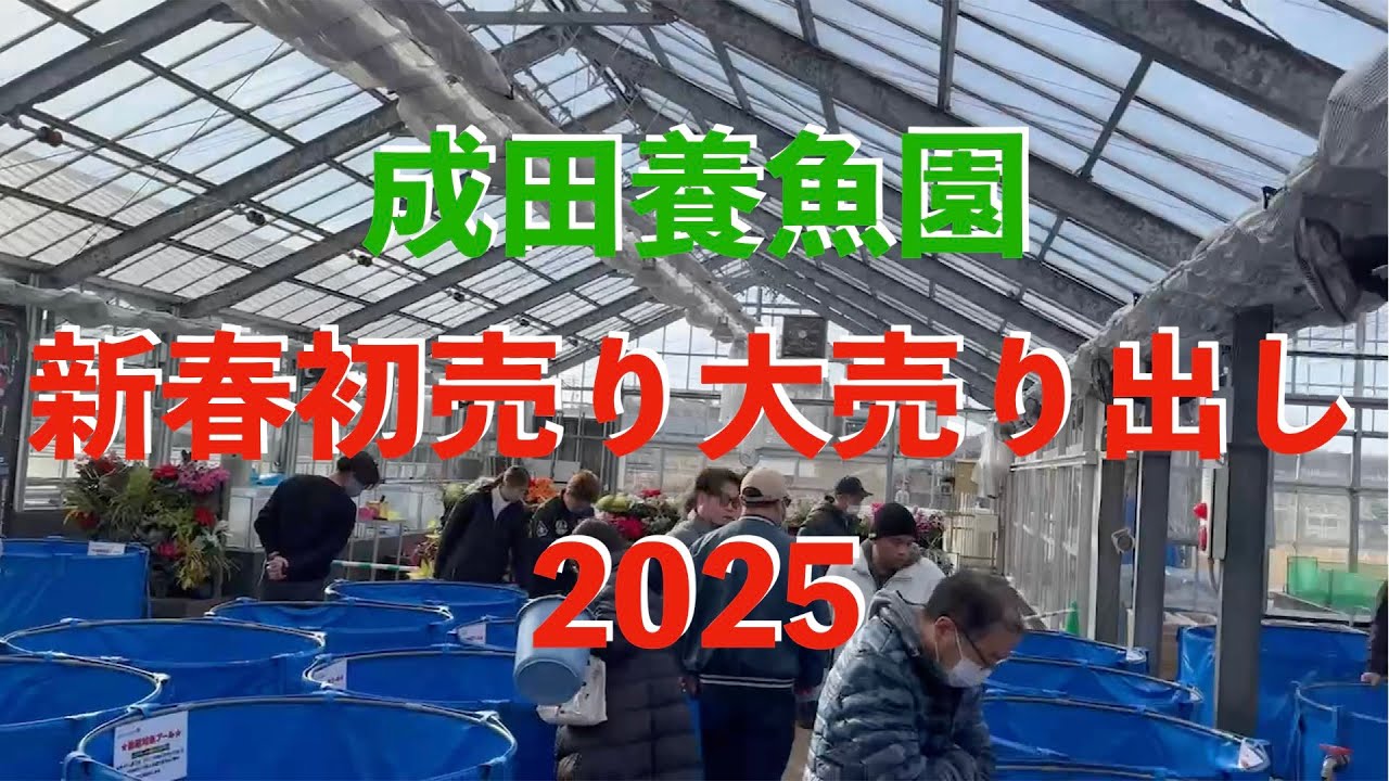 成田養魚園　新春初売り大売り出し2025に行ったら凄すぎた！！！