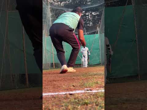 Net Cricket Smashing