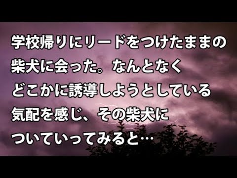 【修羅場　衝撃】学校帰りにリードをつけたままの柴犬に会った。なんとなくどこかに誘導しようとしている気配を感じ、その柴犬についていってみると…　【修羅場・衝撃体験をお送りします】